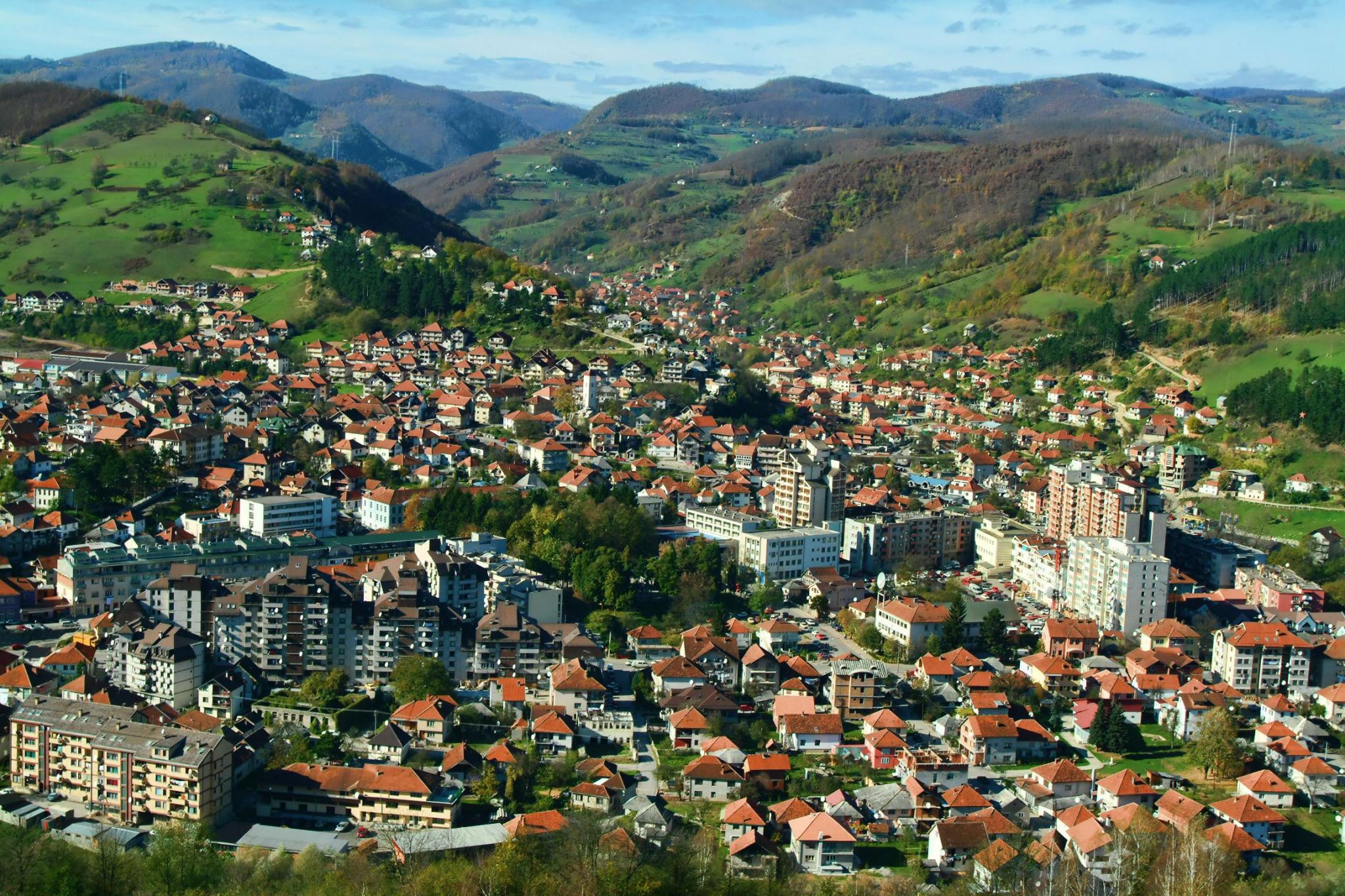 Bijelo Polje Komunalno namjerno truje životinje? CdM