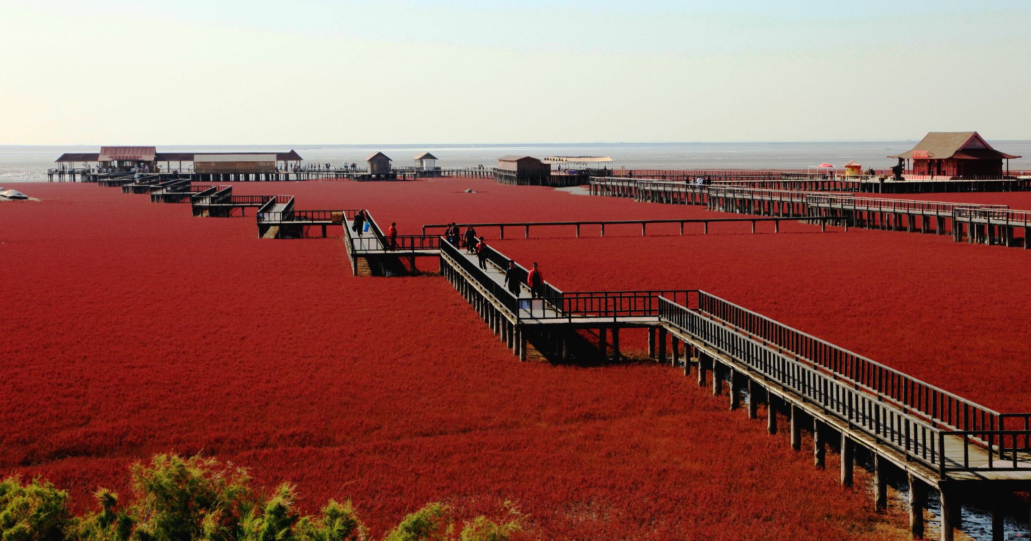 Panjin-Red-Beach-Wallpapers.jpg