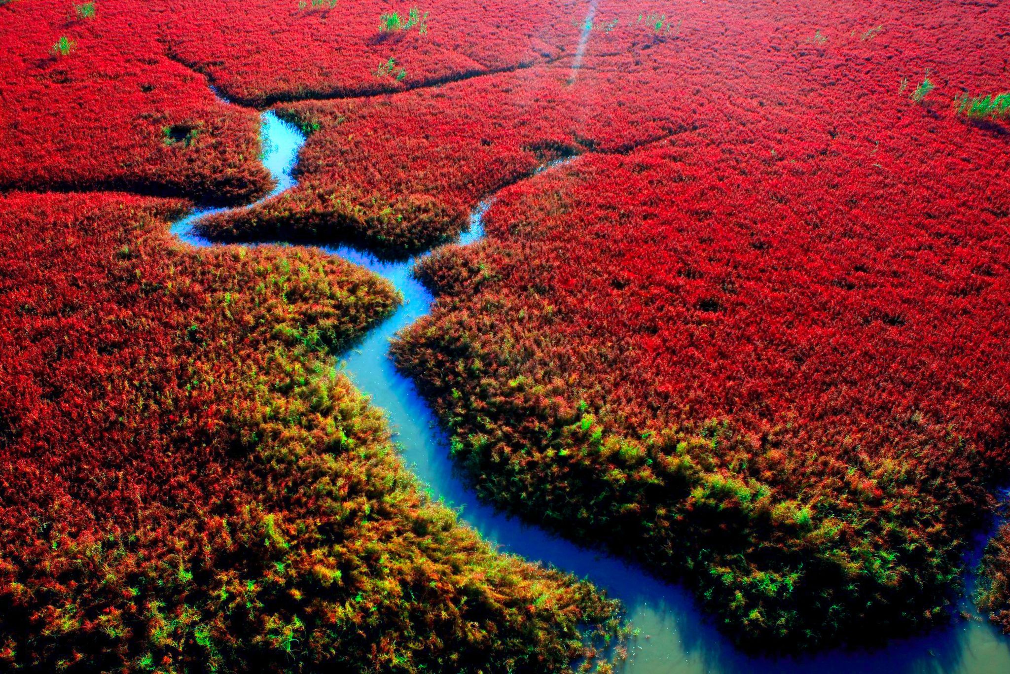 Red-Beach-1.jpg