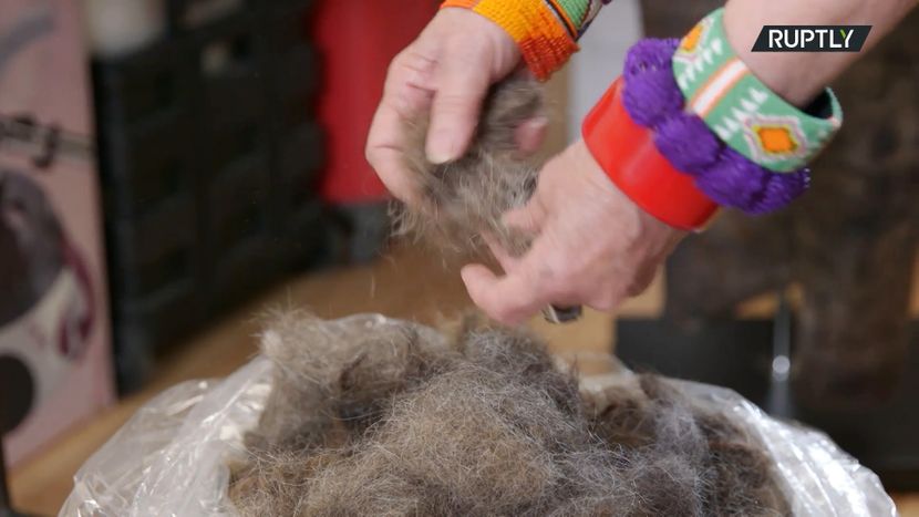 Podizanje svijesti o muškom zdravlju