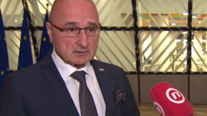 Gordan Grlić Radman
