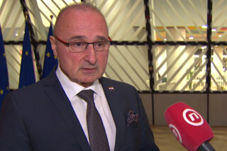 Gordan Grlić Radman