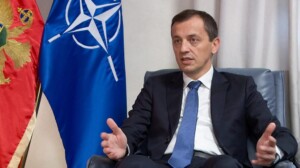 Predrag Bošković