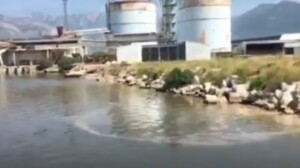 Foto: Sindikalna organizacija zaposlenih A.D. Port of Adria Bar