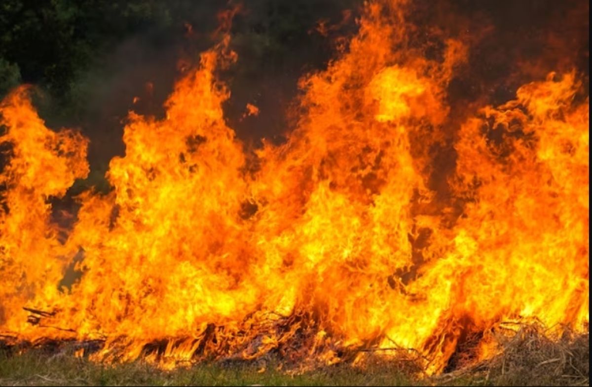 Gorio magacin u naselju Kuće Rakića