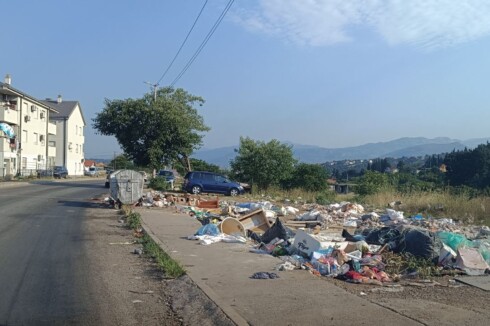 Konik prije čišćenja