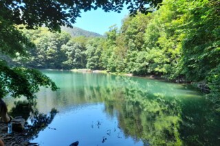 Biogradska gora, Foto: CdM