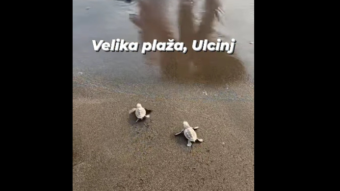 Foto: Printscreen