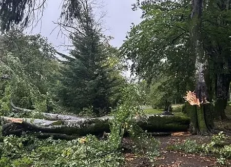 Nevrijeme na Cetinju/ Foto: Prijestonica