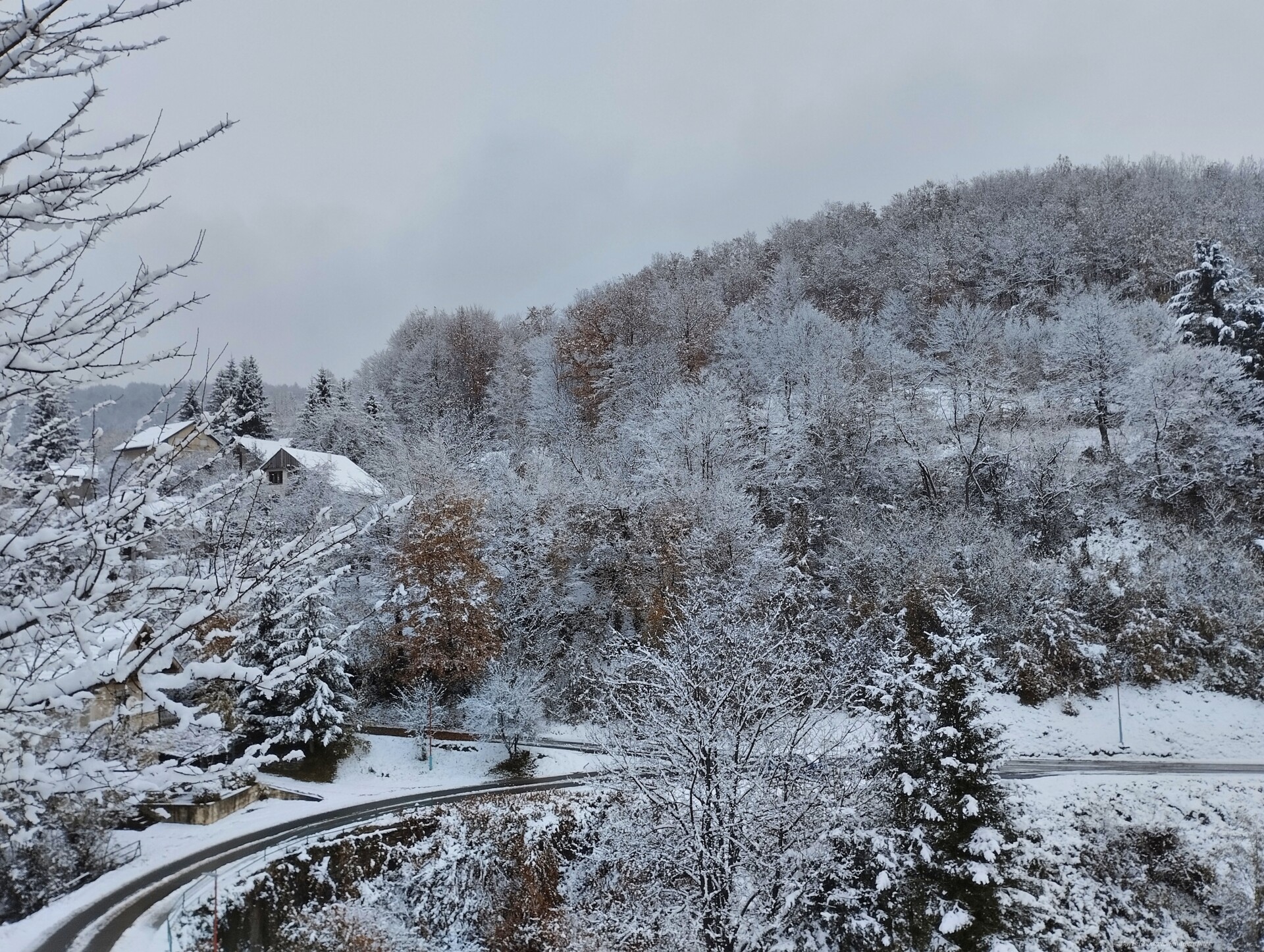 Mojkovac, Foto: Boris Ćetković