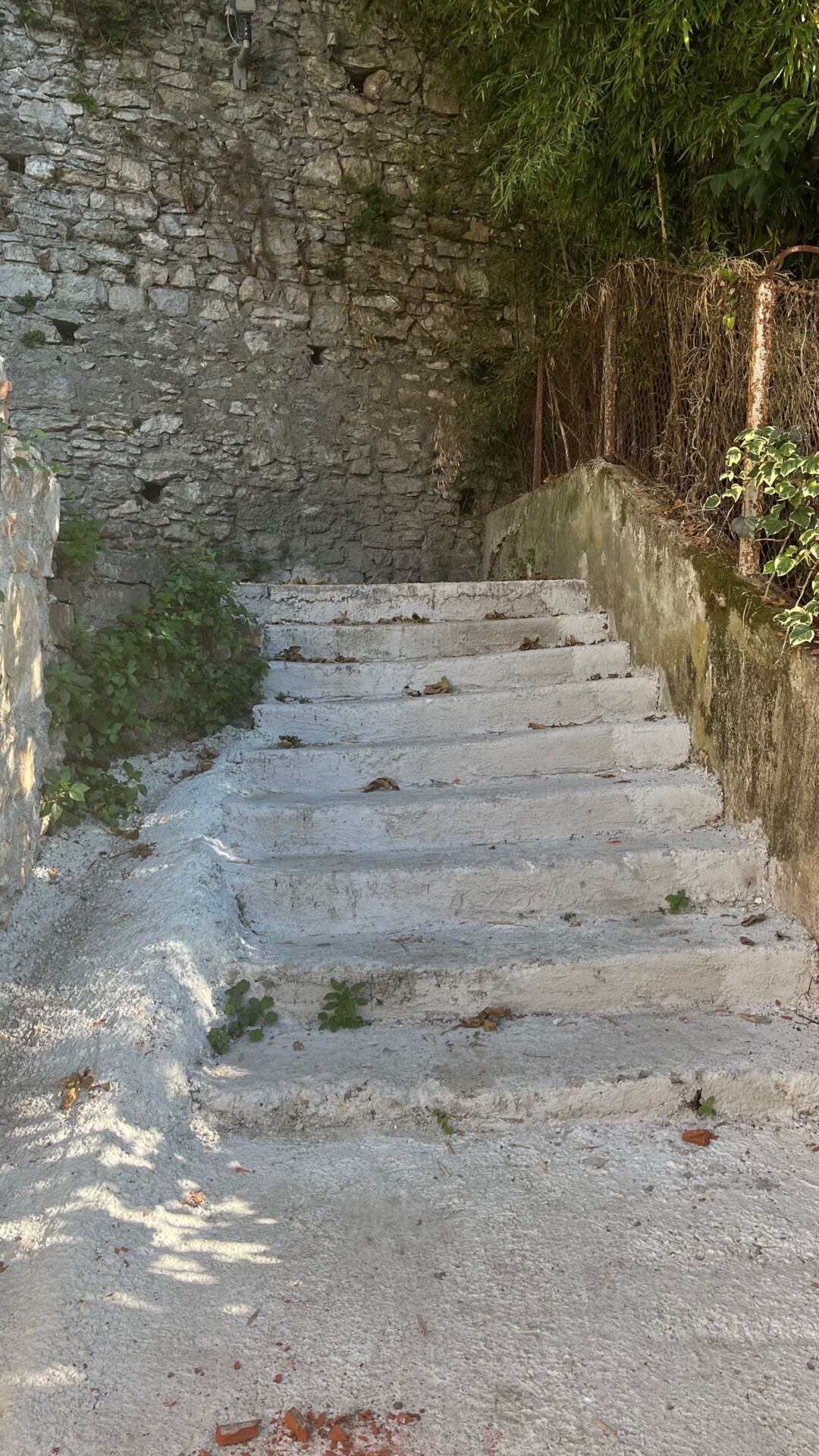 Foto: DPS Herceg Novi