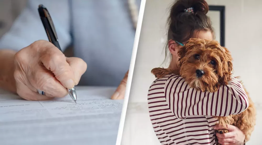 Dok su neki izražavali razumijevanje za njen postupak, drugi su bili šokirani koliko duboka bol mora da je motivisala da djecu potpuno isključi iz testamenta