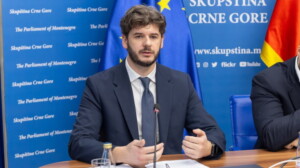 Vasilije Čarapić, Foto: Skupština