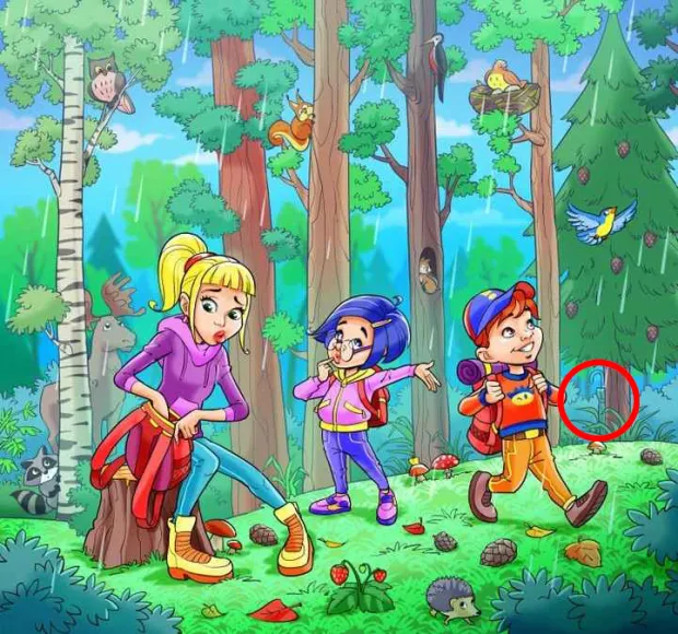 Testirajte vještine zapažanja: Možete li uočiti skriveni kišobran u šumi za devet sekundi?