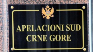 Apelacioni sud Crne Gore