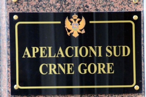 Apelacioni sud Crne Gore