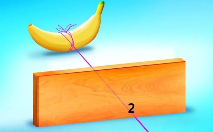 Mozgalica koja je namučila mnoge: Koja žica vodi do banane?