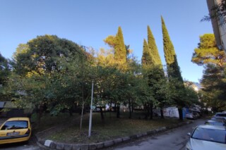 Foto: Zeleni kvart