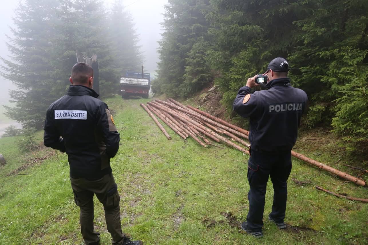 Vještačenja potvrđuju milionsku štetu u NP Prokletije