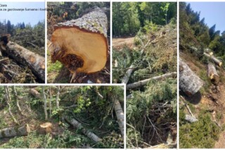Foto: Uprava za gazdovanje šumama i lovištima