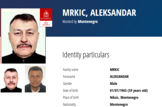 Aleksandar Mrkić