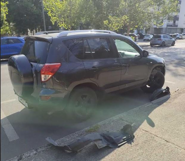 Podgoričanin tvrdi da su mu psi lutalice oštetili vozilo
