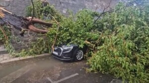 Foto: Printscreen Dalmacija Danas