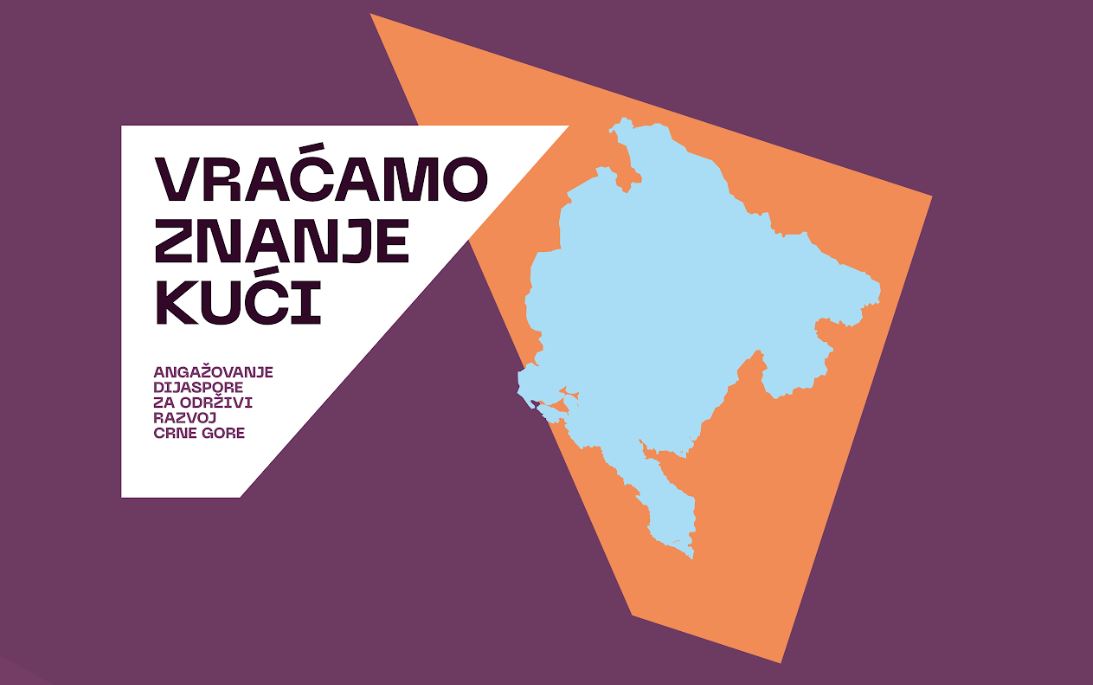 Crnogorski stručnjaci iz dijaspore doprinijeli zdravstvu u zemlji