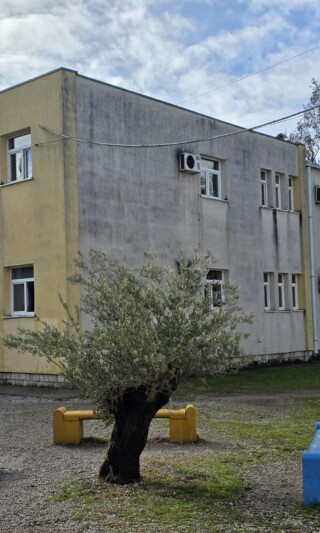 Foto: OŠ "Vuk Karadžić"