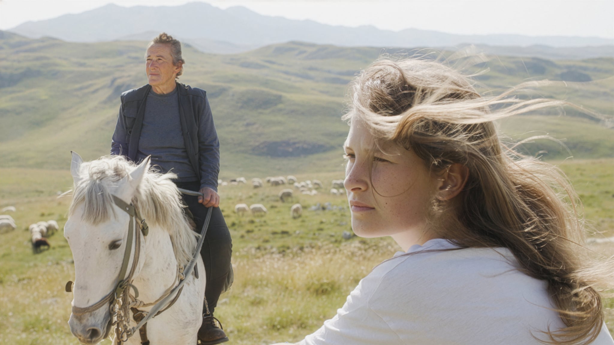 Film Planina