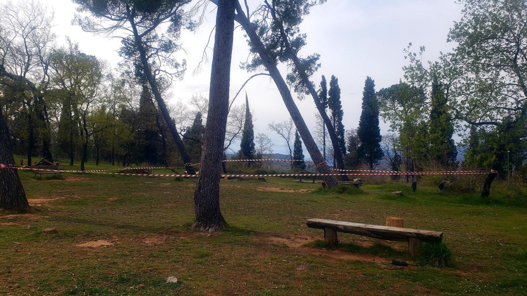 Upozorenje: Postoji opasnost od obrušavanja velikih stabala na Gorici