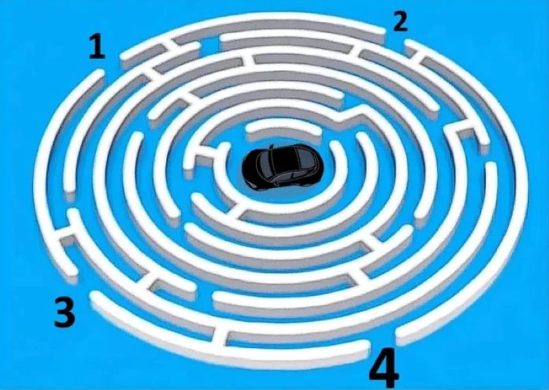 Pronađite izlaz iz lavirinta: Samo oštri umovi mogu riješiti ovu mozgalicu