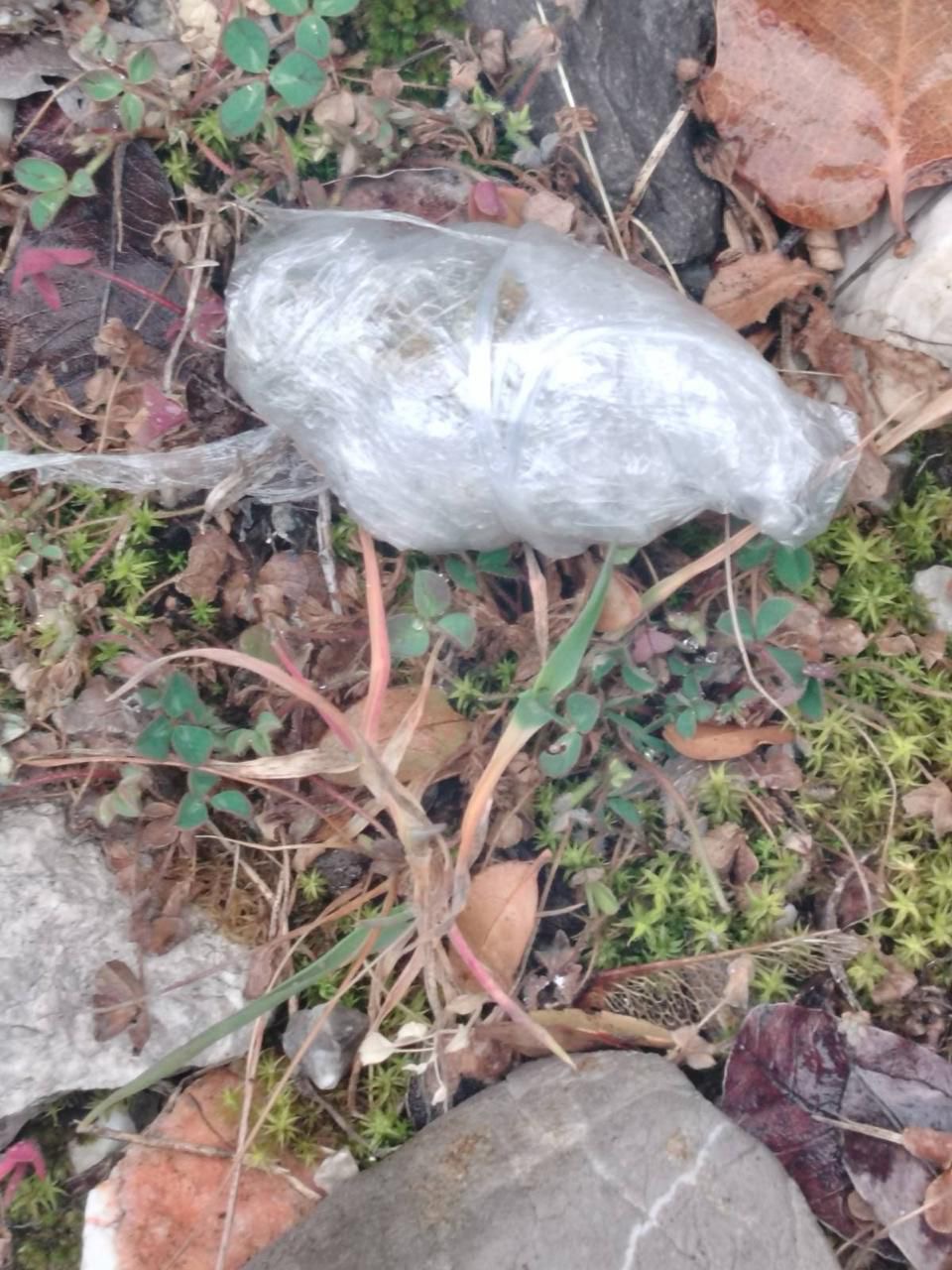 Foto: Uprava policije