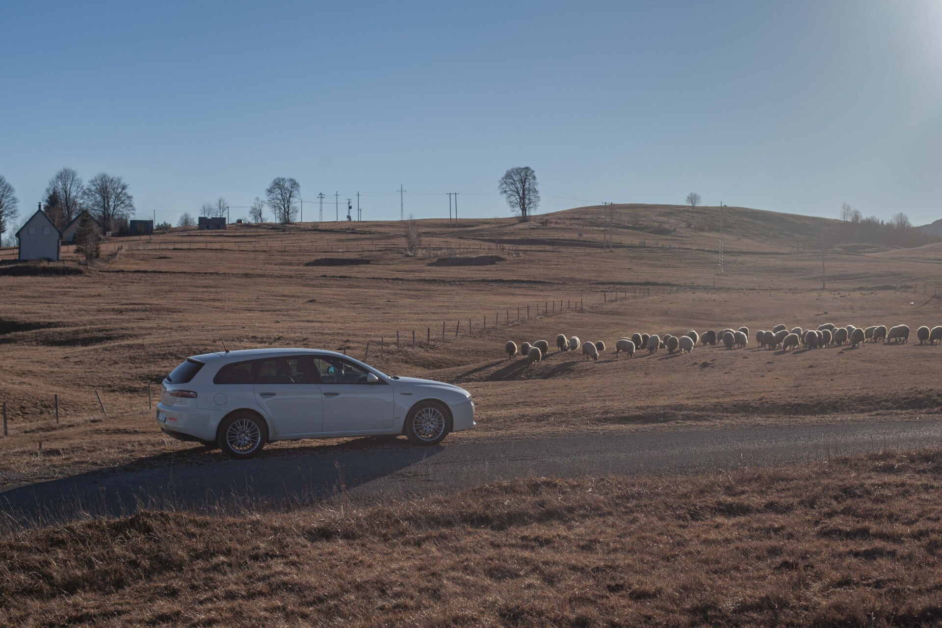 Foto: Rale Radonjić