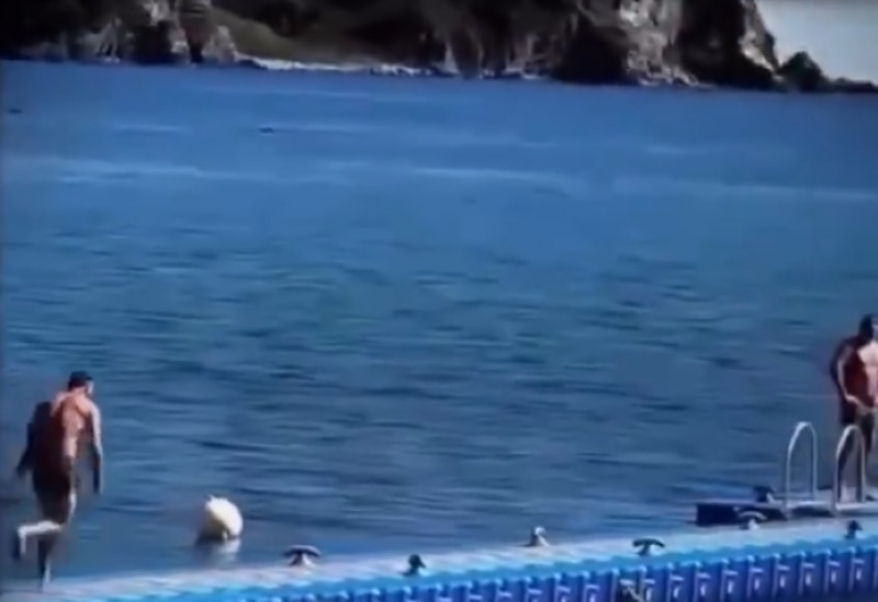 Gracioznost i vještina polijetanja