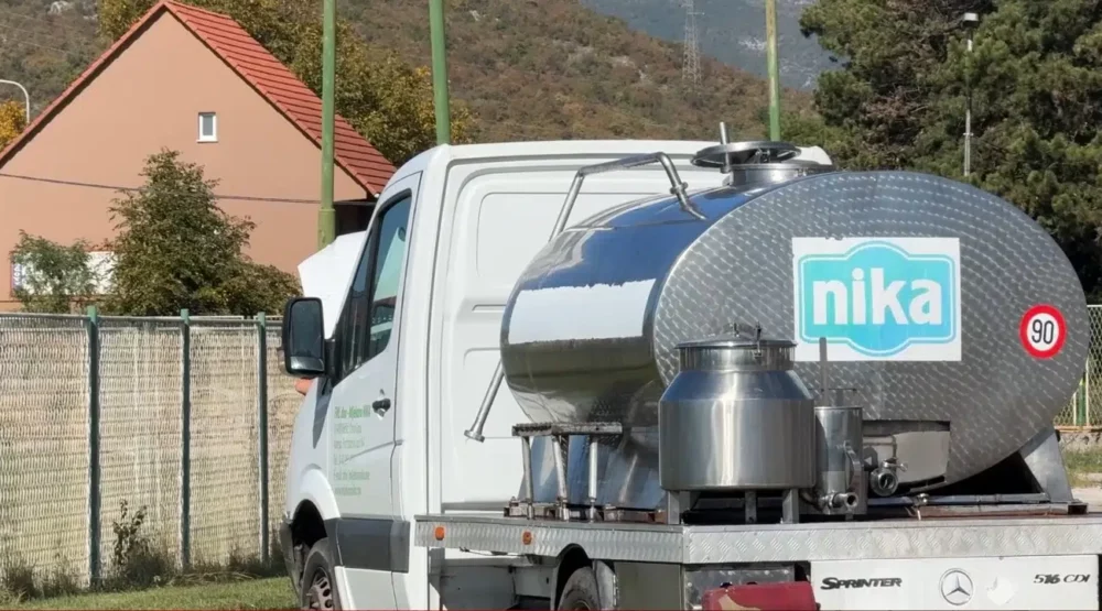 Mljekare Nika i Lazine obustavljaju otkup od malih proizvođača, pogođeno 80 nikšićkih farmera