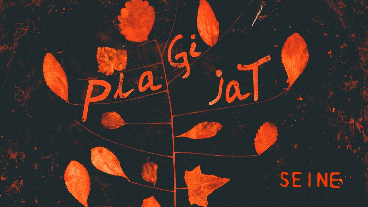 SEINE – Plagijat