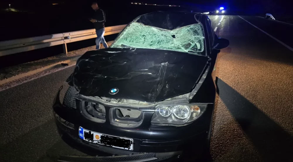 Na putu Cetinje-Budva: Automobil naletio na govedo, povrijeđena jedna osoba