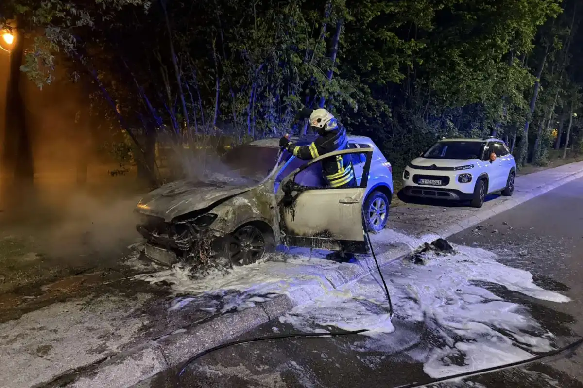 Foto: Služba zaštite i spašavanja, RTV Cetinje