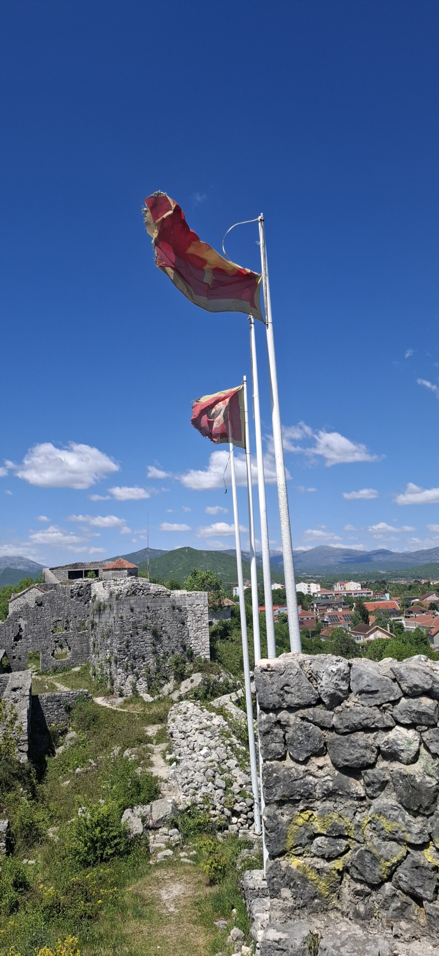 Foto: Ivan Lj.Đurović 