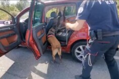 Foto: Uprava policije (UP)