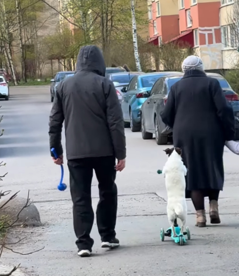 Svaki dan je poseban