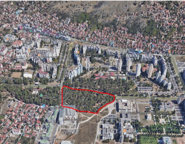 Šumica Krnjevina Vladišta (Foto: Izvor Google Earth)