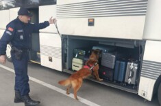 Foto: Uprava policije (UP)