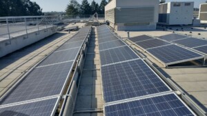 Solarni paneli (Foto: Arhova CdM)