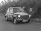 Foto: Rale Radonjić