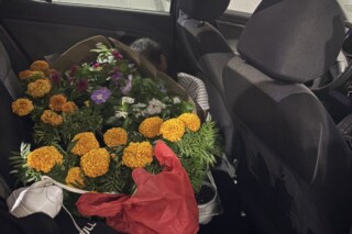 Foto: Uprava policije