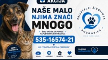 Foto: Prijatelji životinja Podgorica