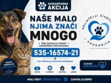 Foto: Prijatelji životinja Podgorica