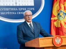 Andrija Mandić, Foto: SCG